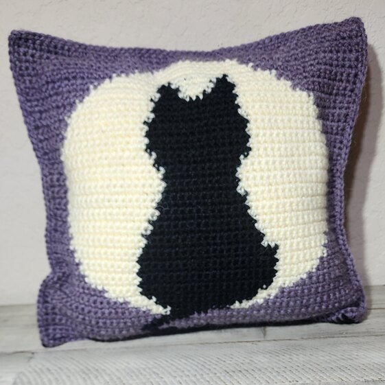 Cat on a Full Moon Pillow