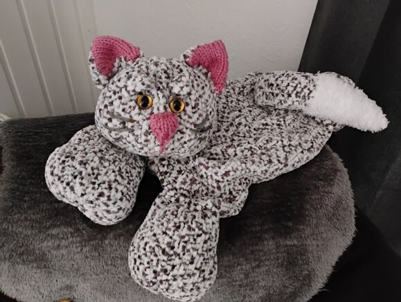 Gracie the cat