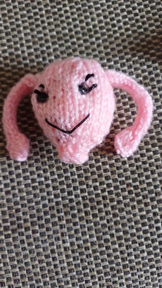 Woolly womb