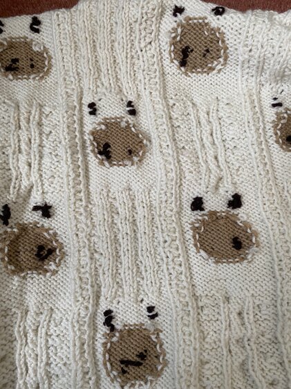 tebby sweater & blanket 