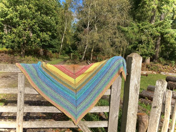 Shawl of Secrets