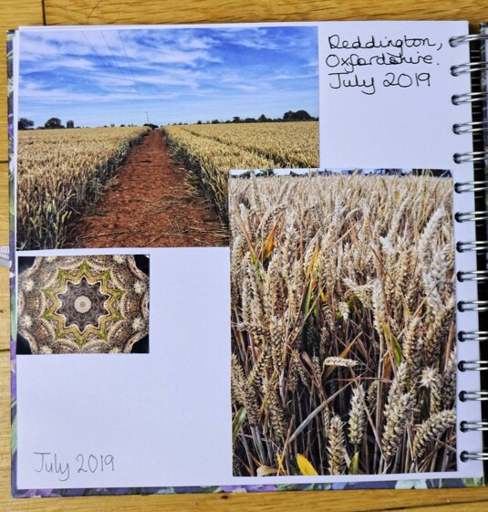 Knitting Journal - July 2019