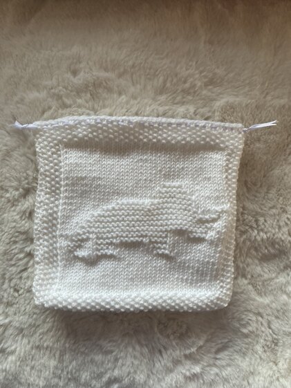 Dinosaur Storage Bag