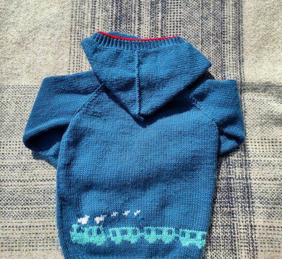 Train hoodie