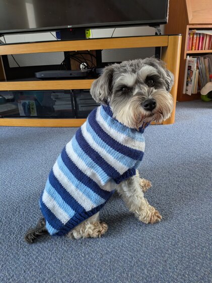 Christmas jumper number two hundred and twenty seven