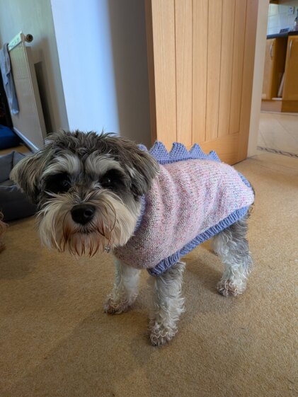 Christmas jumper number two hundred and twenty six