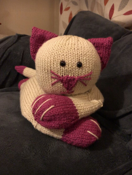 Cat pyjama bag