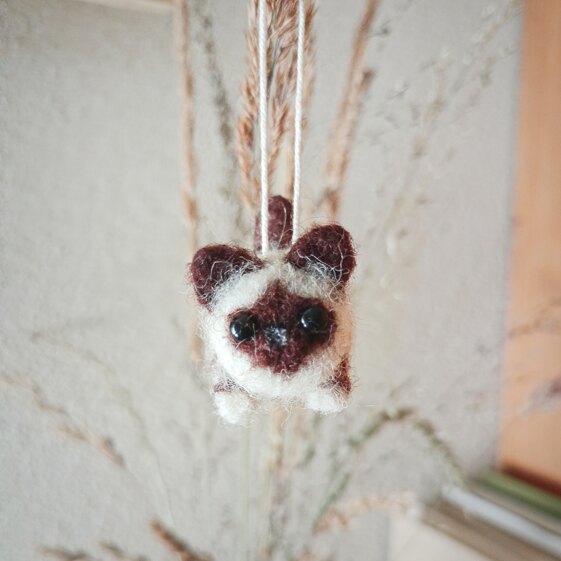 Fabian the mini cat