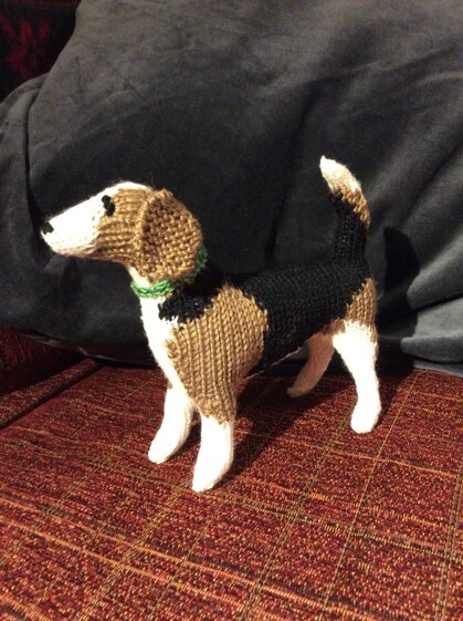 The Beagle