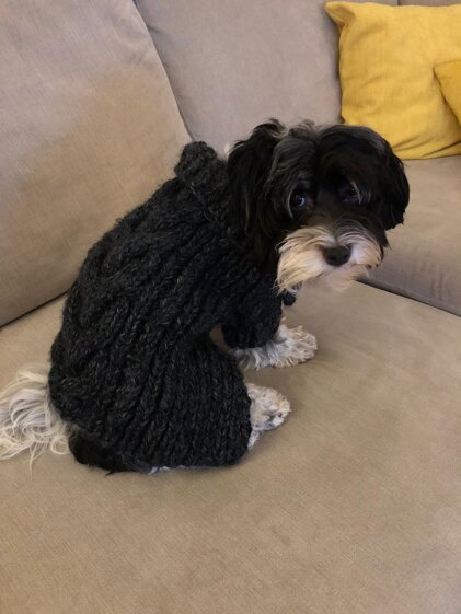 Poppy B