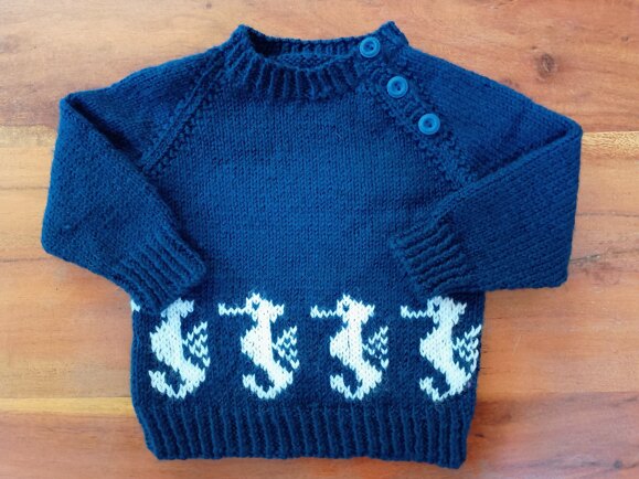Seahorse Jumper