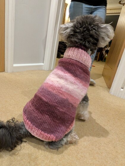 Christmas jumper number two hundred and nineteen