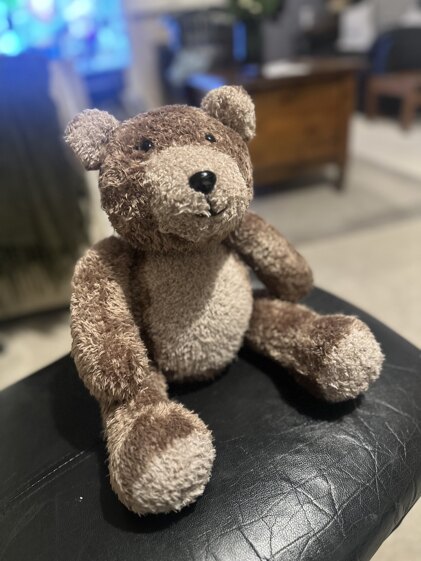Knitables teddy