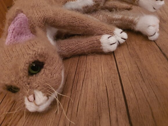 George the Cat