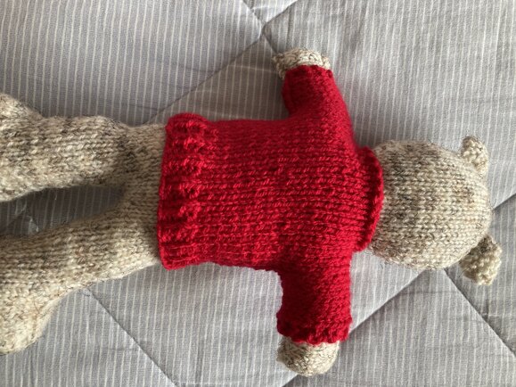 Ted bear with jumper