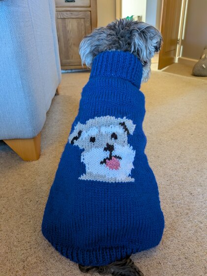 Christmas jumper number two hundred and twenty nine