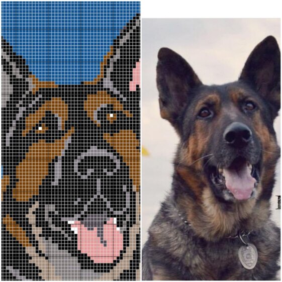 K9 Ricco