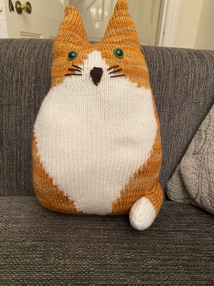 cat