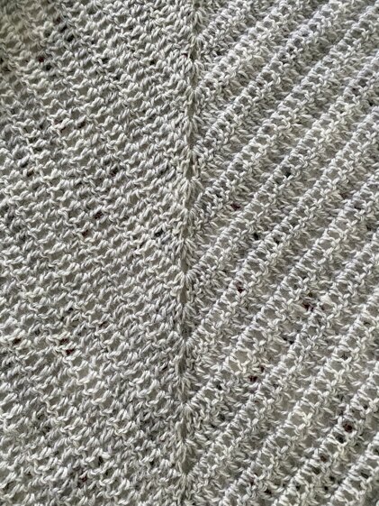 Silver Shawl