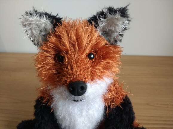 Frankie the fox cub