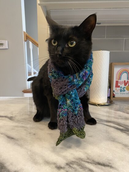 shell pattern lace scarf