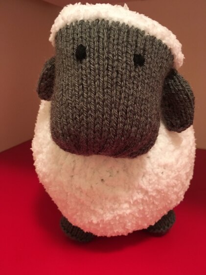 sheep for Primo