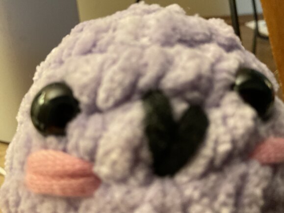 Lavender the octopus