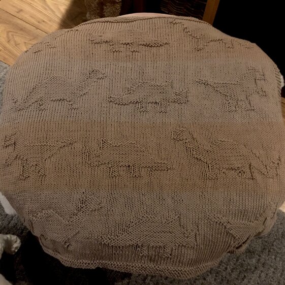 Dinosaur blanket