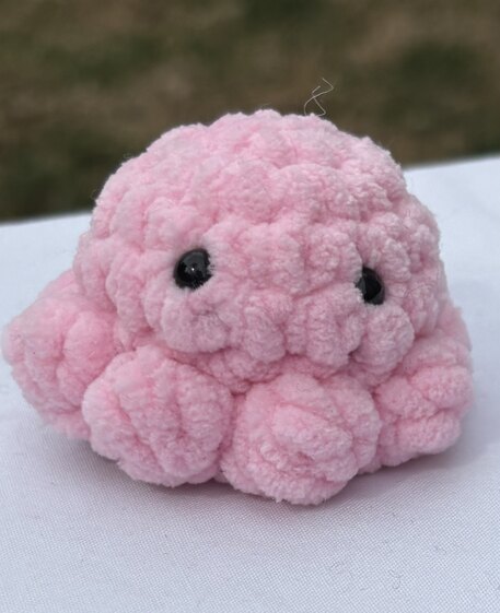 Octopus