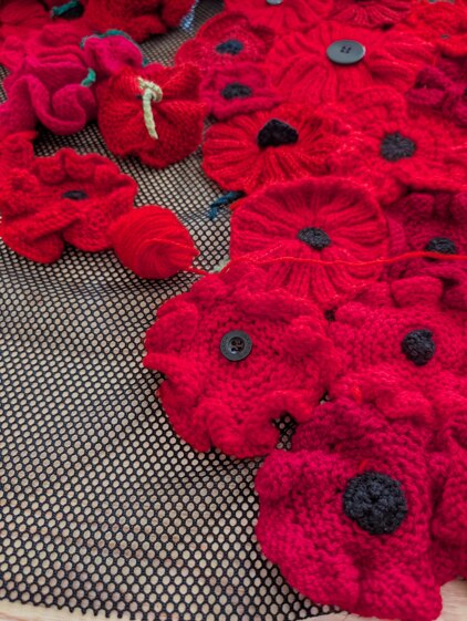 Poppy festival 2026