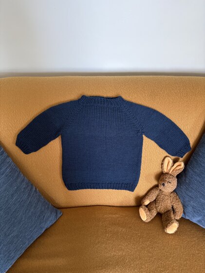 Jumper for Louis