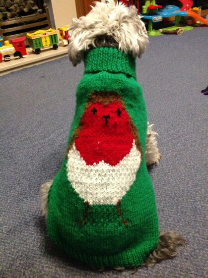 Christmas jumper number forty three