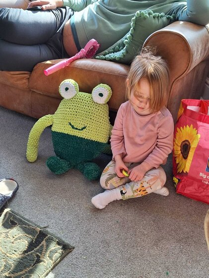 Frog cushion