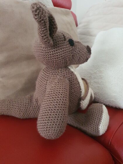Mummy Kangaroo