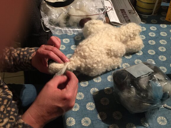 Little Bichon Frise