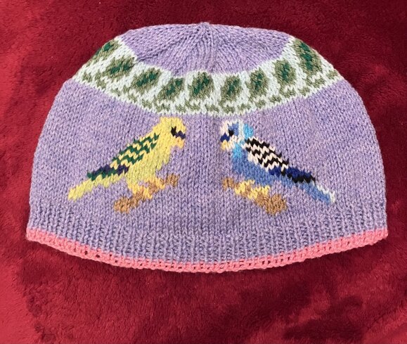 Budgie Bird Hat