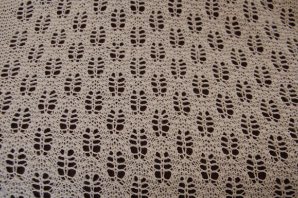 Great Barrier Reef Shawl
