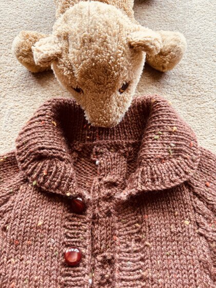 Aran cardigan for my Grandson Alex
