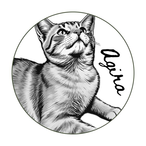 Agira Co