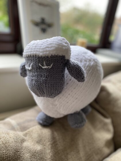 Sleepy Sheep