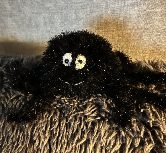 spider