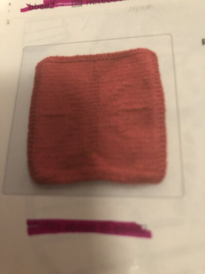 dishcloth