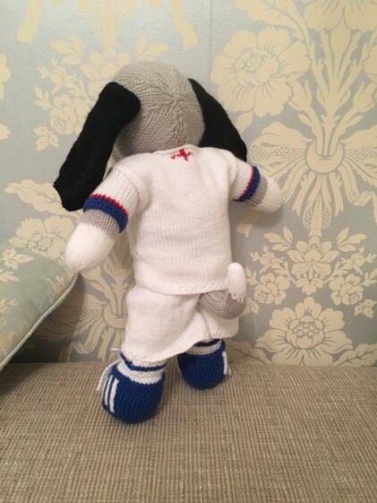 Dog in rugby outfit