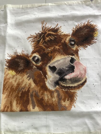 Moo for me