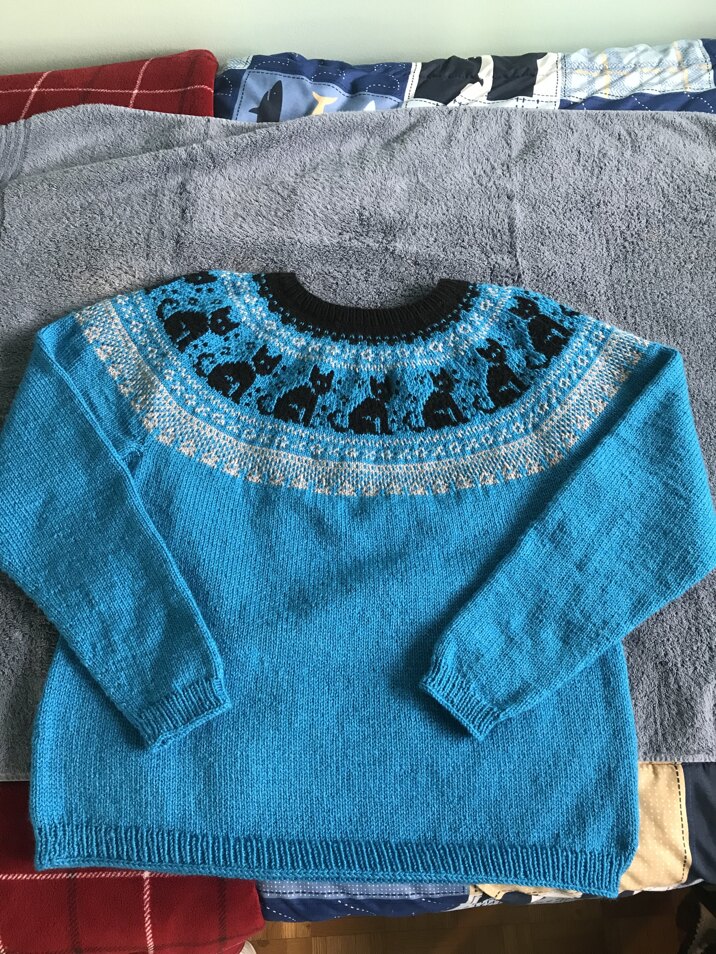 Cat sweater
