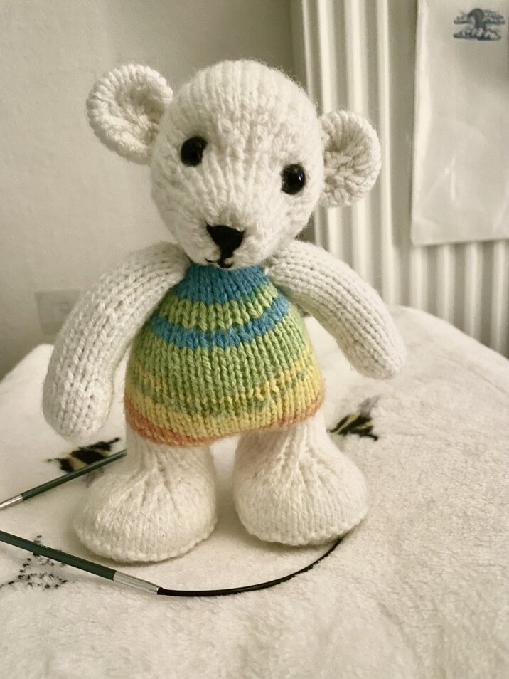 Rainbow Bear no2