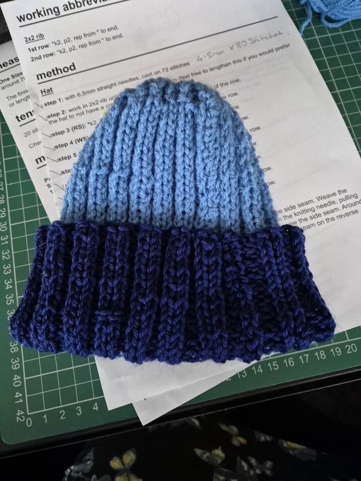 Beanie Hats