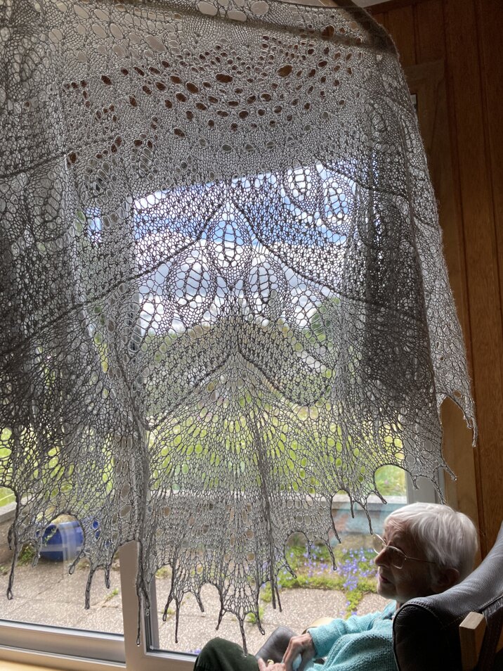 Wild swan shawl