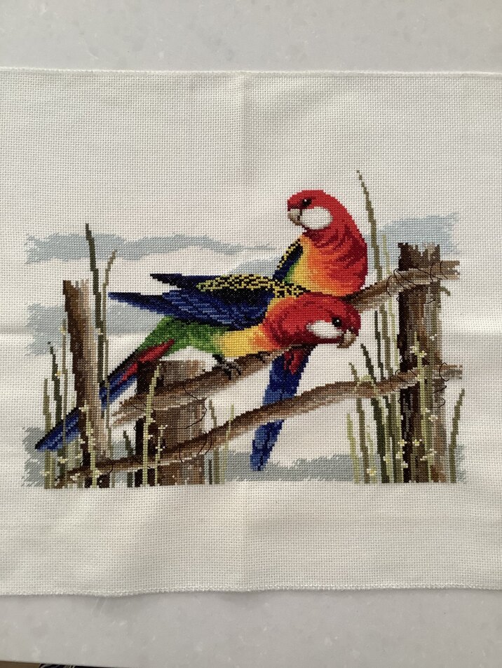 Rosellas