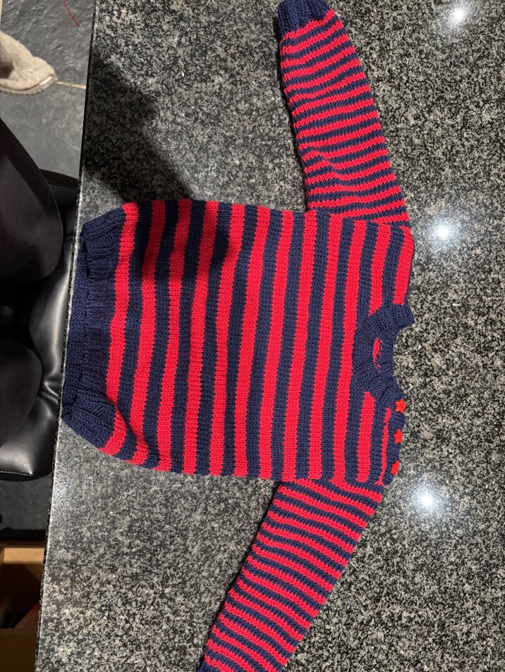 Jumper for Henry